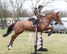 Image 32 in ISLEHAM 2ND MAR 2013. PEOPLE, DOGS AND HORSES.