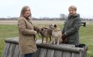 Image 6 in ISLEHAM 2ND MAR 2013. PEOPLE, DOGS AND HORSES.