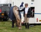 Image 7 in ISLEHAM 2ND MAR 2013. PEOPLE, DOGS AND HORSES.