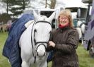 Image 8 in ISLEHAM 2ND MAR 2013. PEOPLE, DOGS AND HORSES.