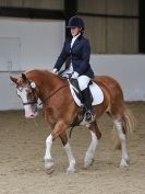 Image 1 in DRESSAGE AT BROADS  17 JULY 2015