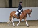 Image 13 in DRESSAGE AT BROADS  17 JULY 2015