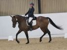 Image 14 in DRESSAGE AT BROADS  17 JULY 2015