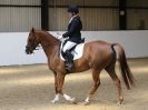 Image 24 in DRESSAGE AT BROADS  17 JULY 2015