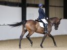 Image 25 in DRESSAGE AT BROADS  17 JULY 2015