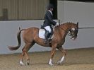 Image 54 in DRESSAGE AT BROADS  17 JULY 2015