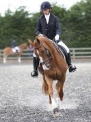 Image 61 in DRESSAGE AT BROADS  17 JULY 2015