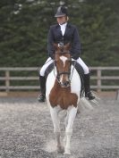 Image 62 in DRESSAGE AT BROADS 17 JULY 2015