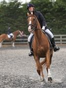 Image 67 in DRESSAGE AT BROADS  17 JULY 2015