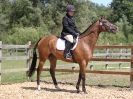 Image 113 in SATURDAY DRESSAGE AT BROADS EC  18 JULY 2015.