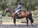 Image 147 in SATURDAY DRESSAGE AT BROADS EC  18 JULY 2015.