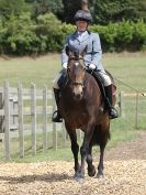 Image 156 in SATURDAY DRESSAGE AT BROADS EC  18 JULY 2015.