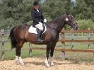 Image 177 in SATURDAY DRESSAGE AT BROADS EC 18 JULY 2015.