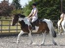 Image 55 in SATURDAY DRESSAGE AT BROADS EC 18 JULY 2015.