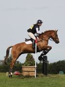 Image 40 in LITTLE DOWNHAM HORSE TRIALS (2) SATURDAY 2015