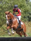 Image 42 in LITTLE DOWNHAM HORSE TRIALS (2) SATURDAY 2015