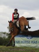 Image 49 in LITTLE DOWNHAM HORSE TRIALS (2) SATURDAY  2015