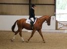 Image 35 in BROADS EC. AFFILIATED DRESSAGE  2 AUG 2015 OUTSIDE SHOTS FIRST. LOTS MORE TO BE ADDED