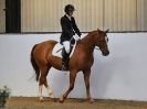 Image 41 in BROADS EC. AFFILIATED DRESSAGE 2 AUG 2015 OUTSIDE SHOTS FIRST. LOTS MORE TO BE ADDED