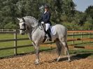Image 50 in BROADS EC. AFFILIATED DRESSAGE 2 AUG 2015 OUTSIDE SHOTS FIRST. LOTS MORE TO BE ADDED