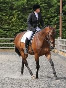 Image 51 in BROADS EC. AFFILIATED DRESSAGE 2 AUG 2015 OUTSIDE SHOTS FIRST. LOTS MORE TO BE ADDED