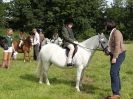 WAVENEY HARRIERS PONY CLUB SHOW. 3 AUG 2015
