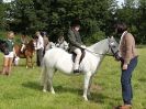 Image 1 in WAVENEY HARRIERS PONY CLUB SHOW. 3 AUG 2015