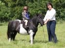 Image 100 in WAVENEY HARRIERS PONY CLUB SHOW. 3 AUG 2015