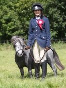 Image 101 in WAVENEY HARRIERS PONY CLUB SHOW. 3 AUG 2015