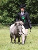 Image 102 in WAVENEY HARRIERS PONY CLUB SHOW. 3 AUG 2015