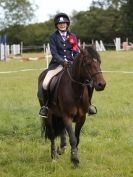 Image 104 in WAVENEY HARRIERS PONY CLUB SHOW. 3 AUG 2015