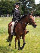 Image 106 in WAVENEY HARRIERS PONY CLUB SHOW. 3 AUG 2015