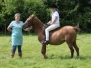 Image 112 in WAVENEY HARRIERS PONY CLUB SHOW. 3 AUG 2015