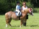 Image 116 in WAVENEY HARRIERS PONY CLUB SHOW. 3 AUG 2015