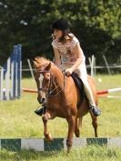 Image 118 in WAVENEY HARRIERS PONY CLUB SHOW. 3 AUG 2015