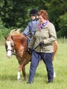 Image 12 in WAVENEY HARRIERS PONY CLUB SHOW. 3 AUG 2015