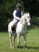 Image 121 in WAVENEY HARRIERS PONY CLUB SHOW. 3 AUG 2015