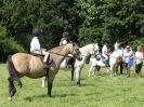 Image 122 in WAVENEY HARRIERS PONY CLUB SHOW. 3 AUG 2015