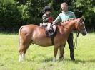 Image 124 in WAVENEY HARRIERS PONY CLUB SHOW. 3 AUG 2015