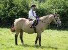 Image 128 in WAVENEY HARRIERS PONY CLUB SHOW. 3 AUG 2015