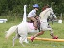 Image 131 in WAVENEY HARRIERS PONY CLUB SHOW. 3 AUG 2015