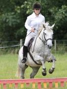 Image 136 in WAVENEY HARRIERS PONY CLUB SHOW. 3 AUG 2015