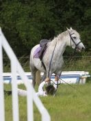 Image 137 in WAVENEY HARRIERS PONY CLUB SHOW. 3 AUG 2015