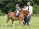 Image 14 in WAVENEY HARRIERS PONY CLUB SHOW. 3 AUG 2015