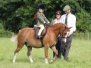 Image 14 in WAVENEY HARRIERS PONY CLUB SHOW. 3 AUG 2015