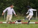 Image 146 in WAVENEY HARRIERS PONY CLUB SHOW. 3 AUG 2015