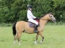 Image 148 in WAVENEY HARRIERS PONY CLUB SHOW. 3 AUG 2015