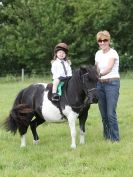 Image 149 in WAVENEY HARRIERS PONY CLUB SHOW. 3 AUG 2015