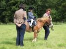 Image 15 in WAVENEY HARRIERS PONY CLUB SHOW. 3 AUG 2015