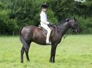 Image 152 in WAVENEY HARRIERS PONY CLUB SHOW. 3 AUG 2015